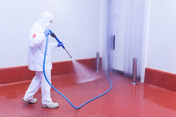 Endwell, NY Pressure Washing Services Company